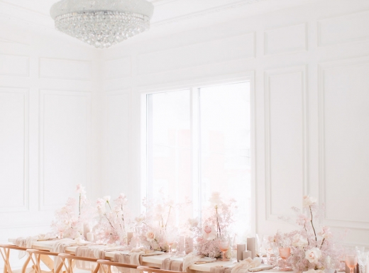 mintroom-biancanico-purpletreephoto-66