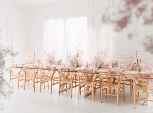 mintroom-biancanico-purpletreephoto-71