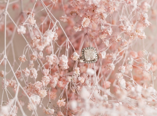 mintroom-biancanico-purpletreephoto-8