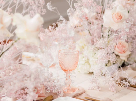 mintroom-biancanico-purpletreephoto-82