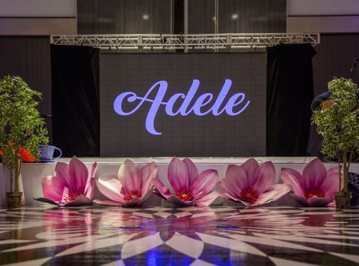 birthday parties decorations