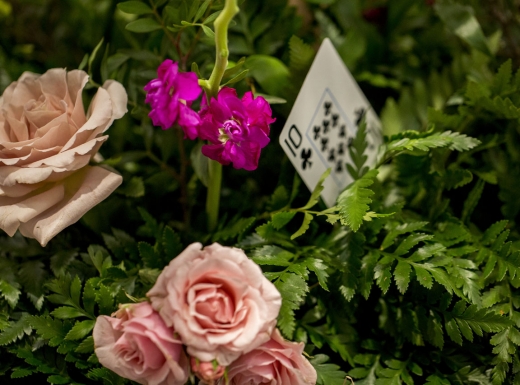 centrepieces