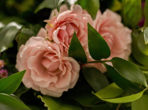 floral decor