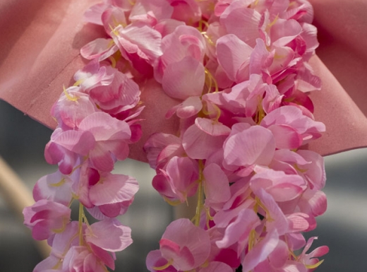 unique flowers