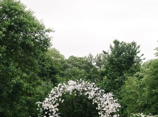 MangoStudios-C-0226-min