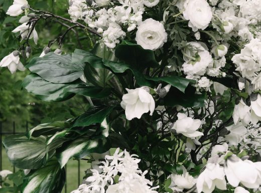 MangoStudios-C-0230-min