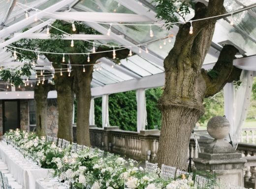 MangoStudios-F-0812-min