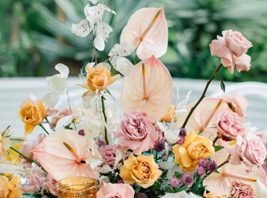 eclectic-purpletreephotography-10