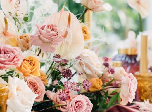 eclectic-purpletreephotography-18