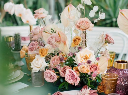 eclectic-purpletreephotography-20