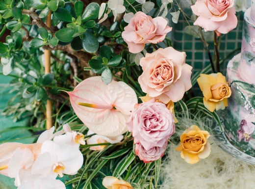 eclectic-purpletreephotography-36