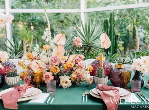 eclectic-purpletreephotography-6