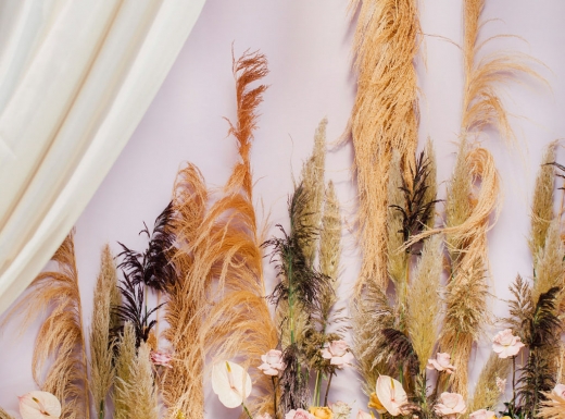 eclectic-purpletreephotography-73