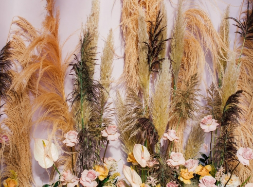 eclectic-purpletreephotography-76