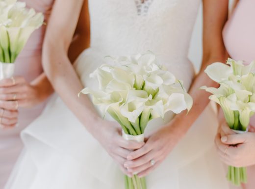 MangoStudios - C - 0426-min