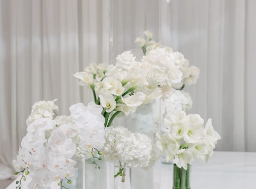 MangoStudios - E - 0979-min