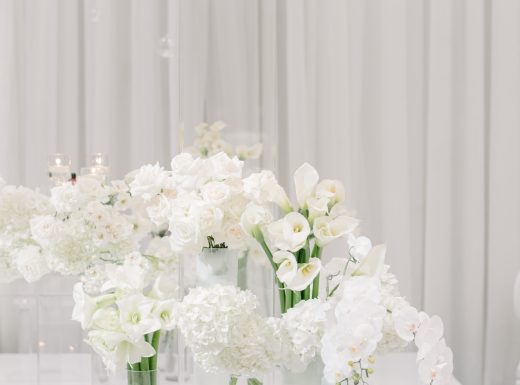 MangoStudios - F - 1331-min