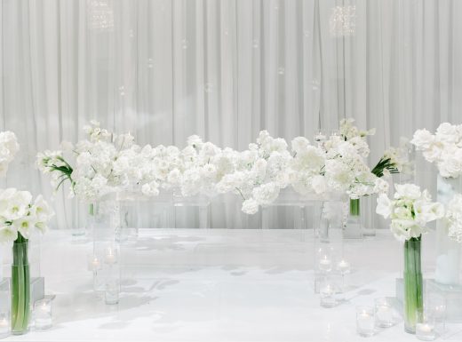 MangoStudios - F - 1341-min