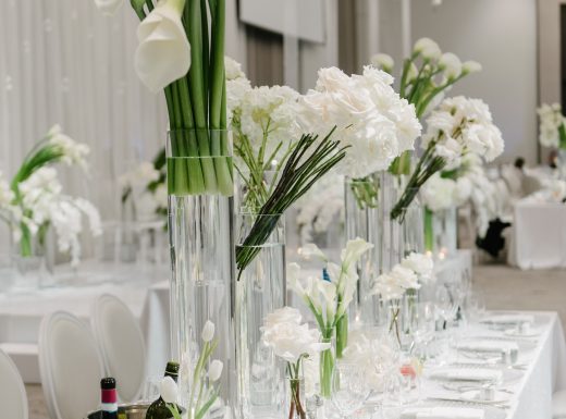 MangoStudios - F - 1381-min