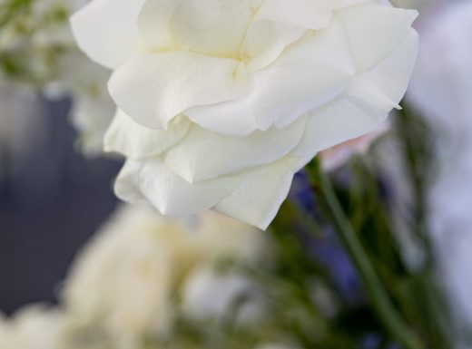 Flowertime-Chateau Le Parc-1010