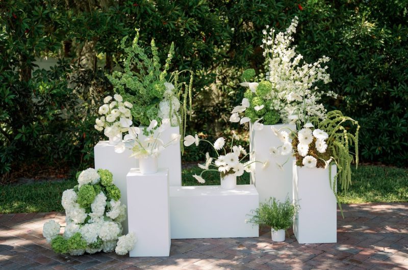 Modern Eden for Tamina and George main image